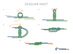 Seaguar Knot